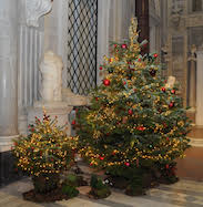 Gli auguri di Natale alla Galleria Borghese