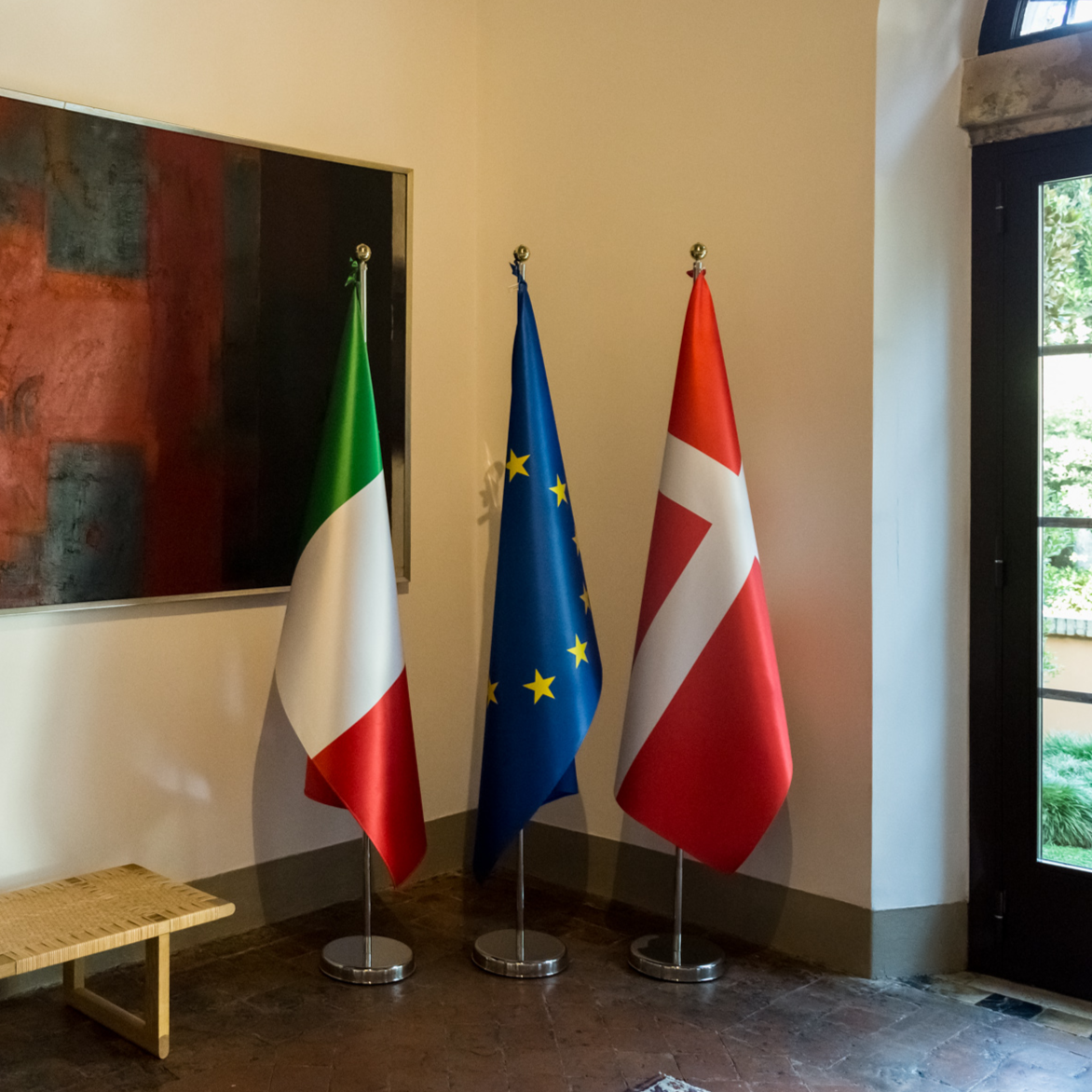 The EU Danish Presidency
